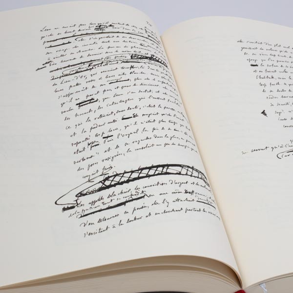 Madame Bovary Madame Bovary