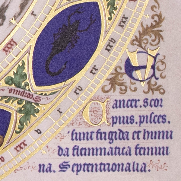 L'Homme zodiacal L'Homme zodiacal