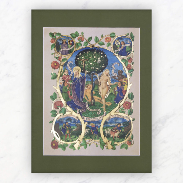 Le Paradis Le Paradis