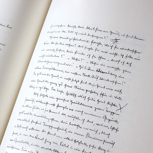 Der Steppenwolf Der Steppenwolf