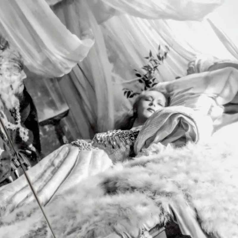 La belle et la bête
